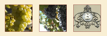 Wine Grapes